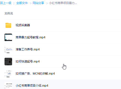 图片[1]-【实践教程】价值2980的小红书商单项目暴力起号玩法-联码科技
