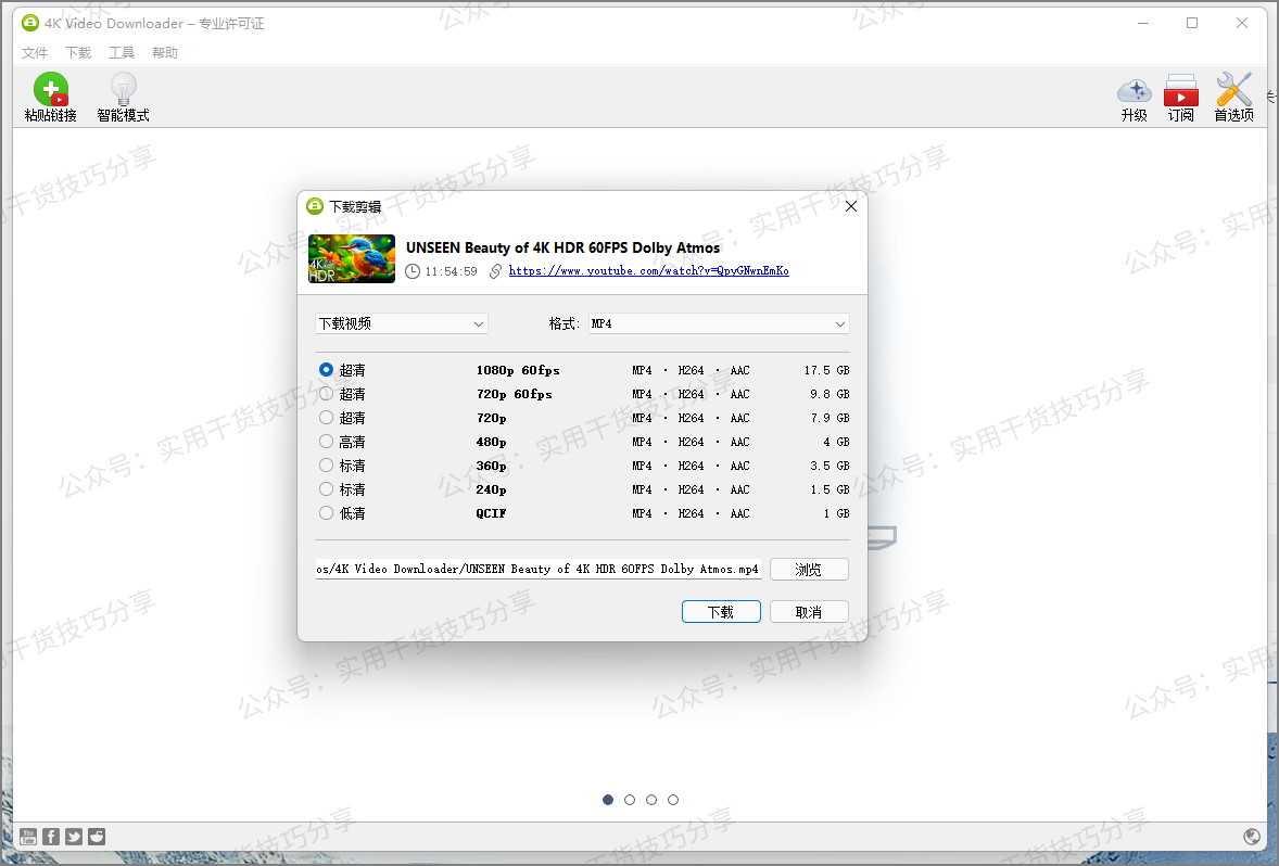图片[2]-【视频下载】4K超清视频下载器，可惜啊YouTube、B站等等-联码科技
